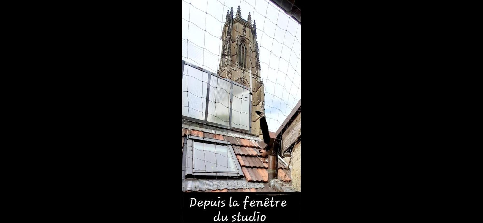 Proche De La Cathedrale, Logement ฟรีบูร์ก ภายนอก รูปภาพ